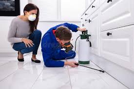 Best Real Estate Pest Inspections  in Lawrence, KS